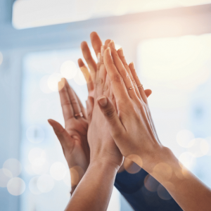 Erfolgreiche Kundenprojekte